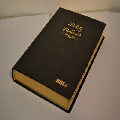 Amity Bible without Zip